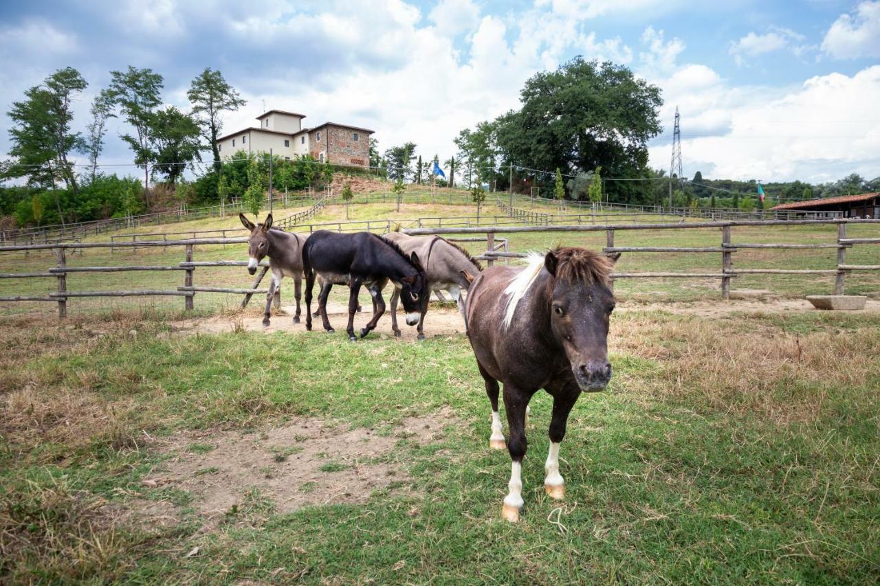 Palagina La Cascina Villa Figline Valdarno Eksteriør bilde